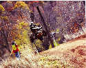 Photo: Kymco