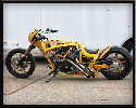 Photo: Travis Pastrana
